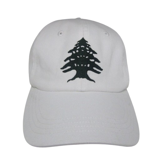 Cedar Baseball Cap in White